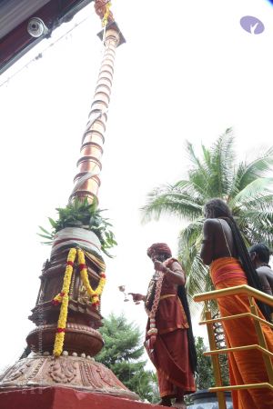 20161203 Photo 1092 1bd8XtSFw4l00XsYg-r58kOE5PYLY8NPv.JPG