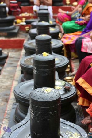 20161203 Photo 1112 1EW7K-2TL9e2viSQg0ghSVtLh8Jgunj8i.JPG