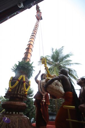 20161203 Photo 1117 1UwBghsjbatT1GefpASgL2VwpvYK5h6w .JPG