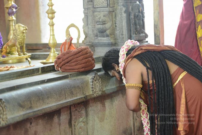 20161203 Photo 1143 1gZlraXGhI28jHZ-w-7WLpUlIAK6oBNSX.JPG