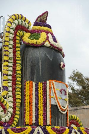 20161203 Photo 1179 1zsShZKFsoC-AOl3P67IPY McDX3KzuJM.JPG