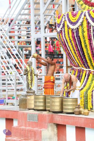 20161203 Photo 1236 13o7Rjek82GuFds8VCxIYVxiN819dQYlA.JPG