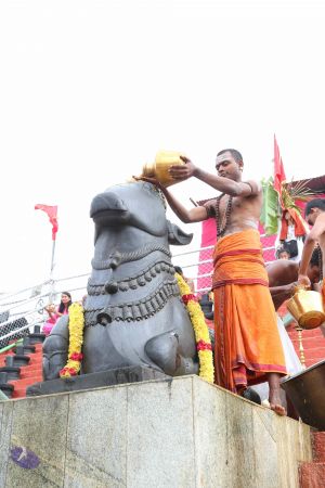 20161203 Photo 1239 1FAjwjS0qLxA8Fh3WvXrDi5bvHlQRF3r8.JPG