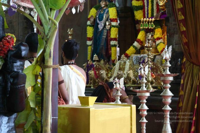 20161203 Photo 1409 1MGcl3CYGICeK18JUsQz50RvzoiAF6p R.JPG