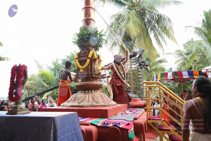 20161203 Photo 1464 11CqGV5PjDn6lGe6MxjCTxP5vdXCW6H8G.JPG