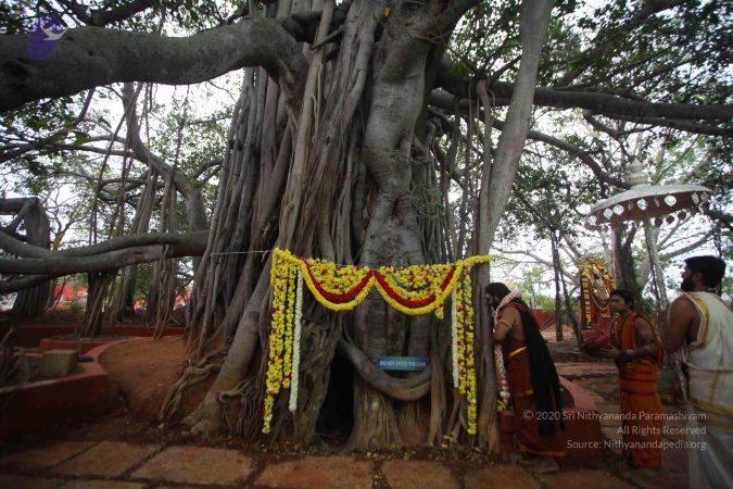 20161203 Photo 1632 1LaiuoAHo5Gb kQXzE1AtOd3HltZpKzY2.JPG