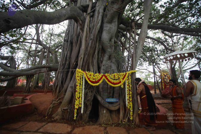 20161203 Photo 1633 1eI-gm193ZNFBd5zjR95joCQVodHAl0mh.JPG