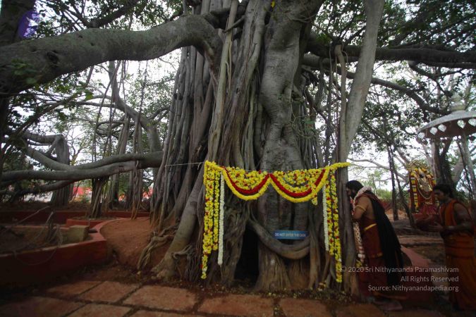 20161203 Photo 1636 1WIJMfbf-YSOjloYVmfOWSMMkshWf6 z-.JPG