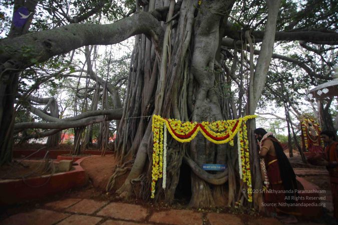 20161203 Photo 1637 1G760zf4v9jPlO EMj4hSm47pZ1 POb96.JPG