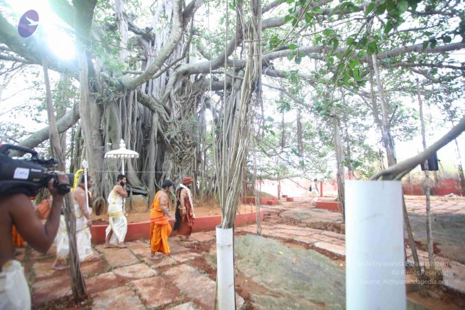 20161203 Photo 1643 1bUldc8EIGUy9FpgwElaXlu6qYh-vBu W.JPG