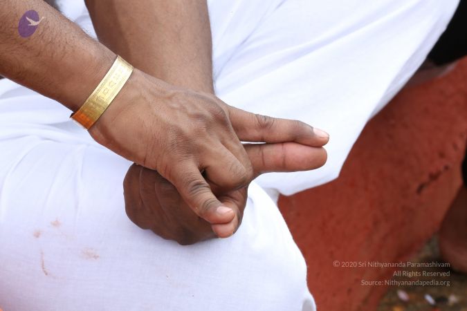 20161203 Photo 1845 1Z13miMml0ryBZDbSBWe8dSHPyWBjliCP.JPG