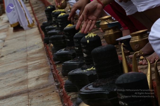 20161203 Photo 1853 1QVSAh0REsMSmFGAT5hFO5sHiNoclUiEo.JPG