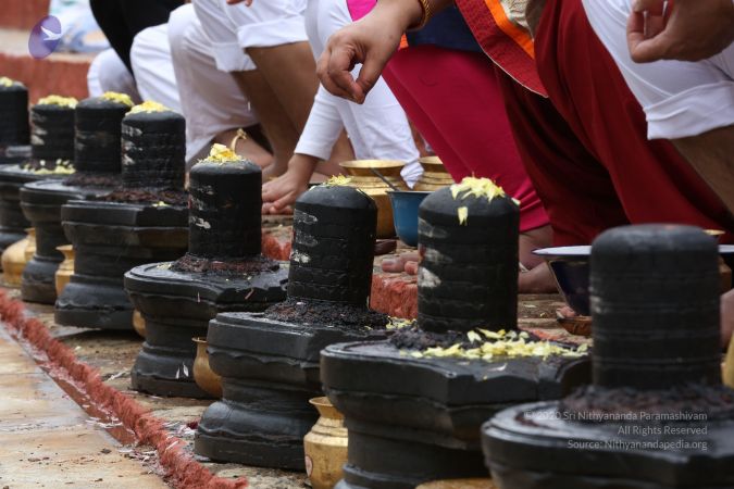 20161203 Photo 1860 1w BTSZr94u2E4fsrHmdsuW2lgbUJjflU.JPG