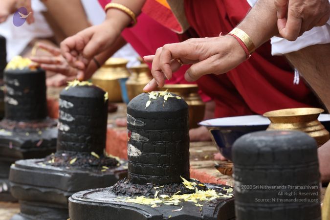 20161203 Photo 1869 1nutq9e-RaQRsL8XAf89CcHBt-H887pkE.JPG