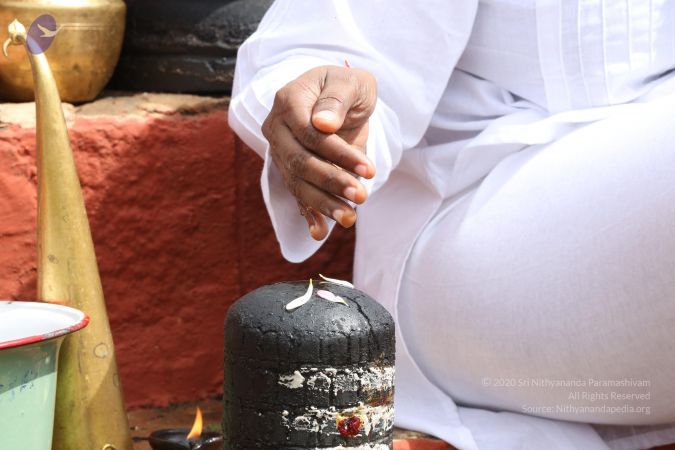 20161203 Photo 1879 1LquIbnAtLChrI4jkD-naRFb-Mq6FrAH8.JPG