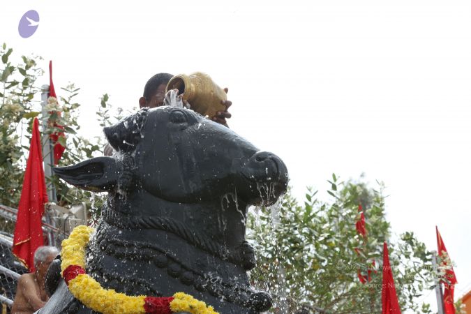 20161203 Photo 1908 12mtAo8RljYDfYwm14LdOEVrDGKaIAR-p.JPG