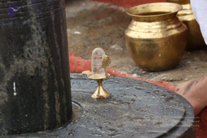 20161203 Photo 1928 14uGHKhETSsQALEV55IcJ2BOxmUOi1Inw.JPG