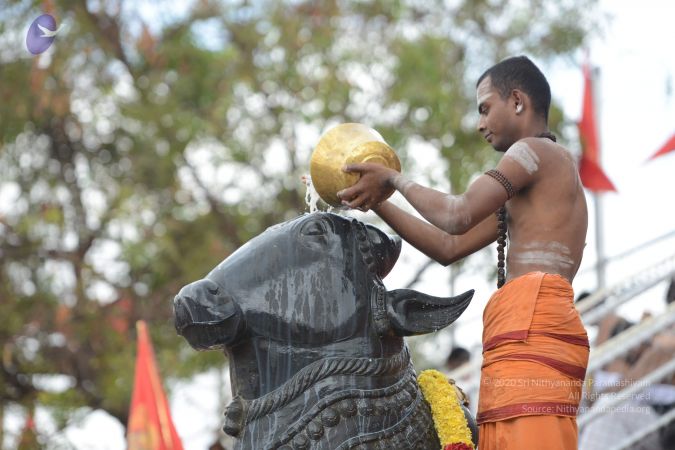 20161203 Photo 2107 1Nw7yNKmrgihTfqByzvLXLe5y9RcuONb4.JPG