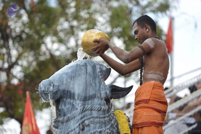 20161203 Photo 2112 1iGD6I2IwViGCgQYg9AMDQxYN6 PTgd d.JPG