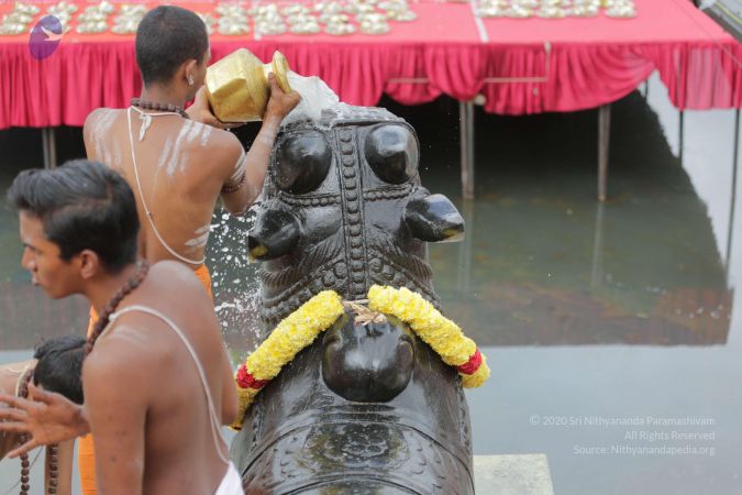 20161203 Photo 2226 1A2A-k L3hTTdfd1YgSynrXz4xNjasmv6.JPG