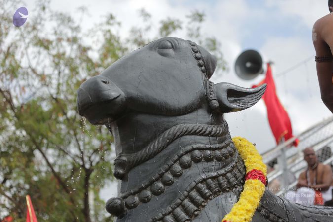 20161203 Photo 2229 1qtJEOl6WGW8n2vuziDzjSuz0eKddgM2u.JPG