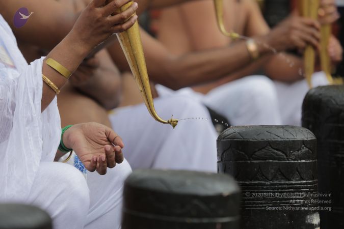 20161203 Photo 2238 1ZO WZZUuH0wJzLGk79J9egDhtdwmqgAf.JPG