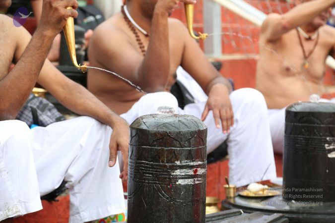 20161203 Photo 2439 1E0idL1aFdRv6-HH4auS9Mae1DvfImizl.JPG