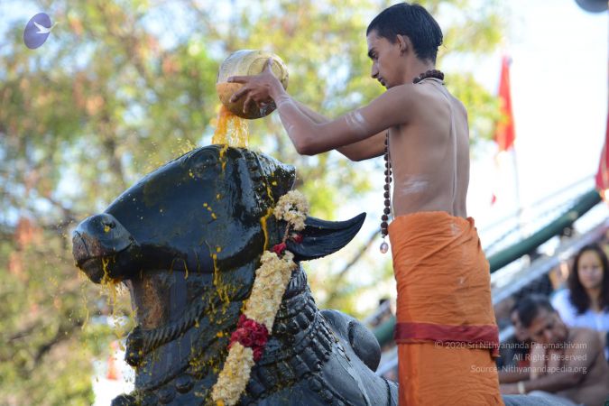 20161205 Photo 1035 114nEbYZzoRC9h9pxSyy1MDS7i1sXPmqF.JPG