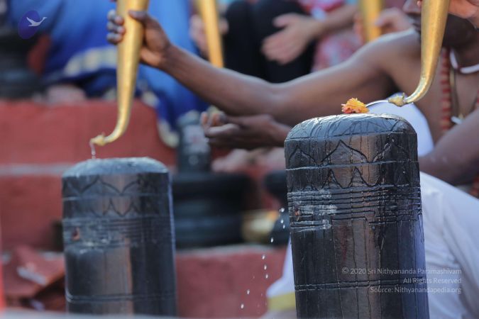 20161205 Photo 1067 1kU1t7zGTEqVvCiAuzNYg3gzYDGh7rCnp.JPG