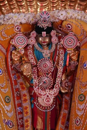 20161205 Photo 1122 1vo0V9KnwwDVOUFLZmSPKVPEf-UIea0LM.JPG