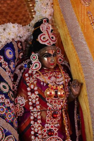 20161205 Photo 1126 1FgjKiFtcHChtrl5ev-BOxs4cDLqzetx5.JPG