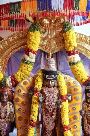 20161205 Photo 1138 1G7z1apyC dOq5ygVLSG7DYbMgu-Id4N0.JPG