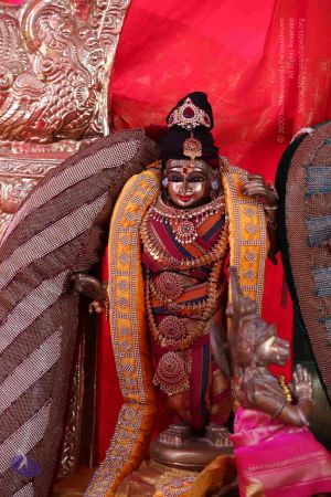 20161205 Photo 1164 1NRmbYvzchKuCUFm19GinMXpO7RM3sJ9s.JPG