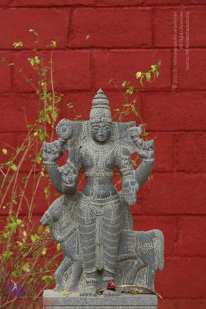 20161205 Photo 1198 1kcweNgZJtTMZqq5IVhnAkMqZ478EGete.JPG