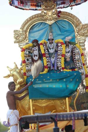 20161205 Photo 1251 19gzbbhgUYi63fNOoKOkMa5aOssUlN0rX.JPG