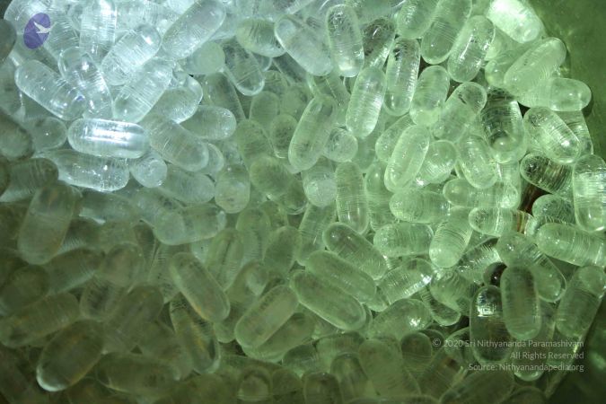 20161205 Photo 1376 1ZBKHBSTzT-CdXFP2OXohE3ABP3dFlTuD.JPG