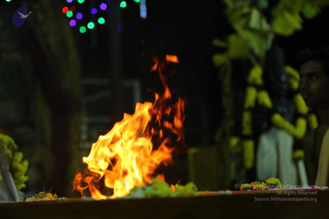 20161205 Photo 1394 1NqfAAWUwRfRtma4BJGAPSEh3OmUT7KCR.JPG