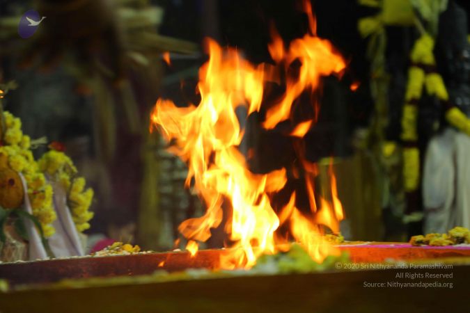 20161205 Photo 1396 1P5RrDlw-mjXaJyhthroQxbijLf7kYljy.JPG