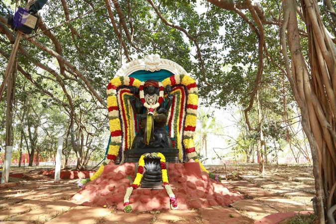 20161205 Photo 1430 1TPl6ewo1EQfpHe7Z2Lt59MszOA5m buE.JPG