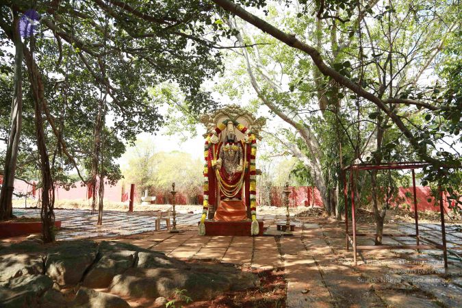 20161205 Photo 1432 1lQQhTF6HMBUWh-dojGtEd7dD5ja2Uju .JPG