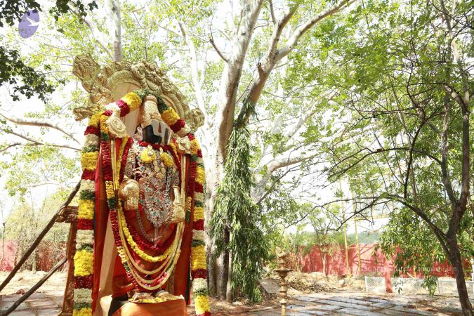 20161205 Photo 1446 1qY9j0G yi8Rth1u0awvI5s5P477Xc6b0.JPG