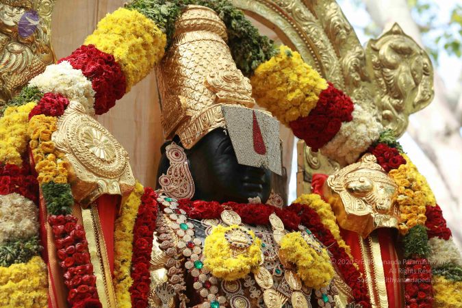 20161205 Photo 1447 1gU2qwbYRRefBh3SLiEzbs3cmHkBJZkpD.JPG