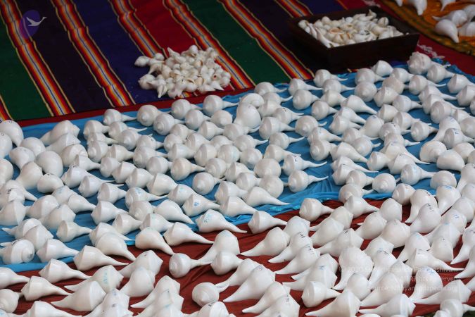 20161205 Photo 1459 1zEGScVSJflsKTUh0PI3VVVFhXUsC2hJI.JPG