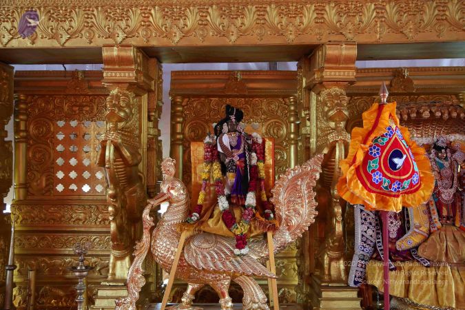 20161205 Photo 1495 1TrtFpLEYJzR8WozvsKVgNyFwP8Xl4u2i.JPG