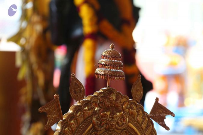 20161205 Photo 1585 1alpepP86a-NbxjF8LsNTrNpfLA221r3V.JPG