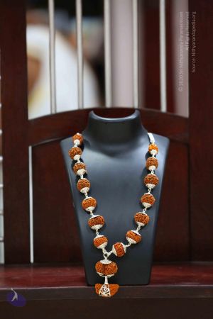 20161206 Photo 1100 1PJ Ku3VAfLlUOs5AAdhb8fa2U2SPWQM4.JPG