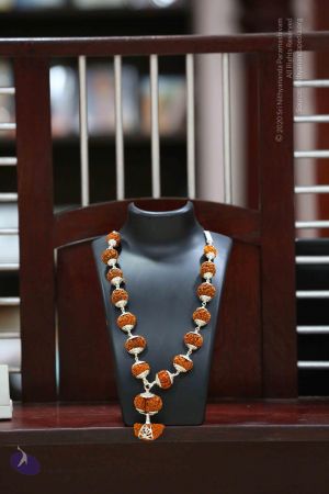 20161206 Photo 1101 1rkiurupkrw2K1QJqaeY2yE0sxvJQPb82.JPG