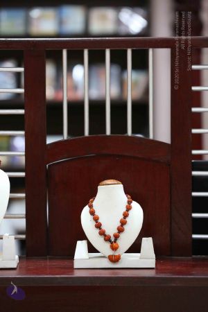 20161206 Photo 1107 1OfN4AY62dMYQAWRFceExMhirdnSupH12.JPG