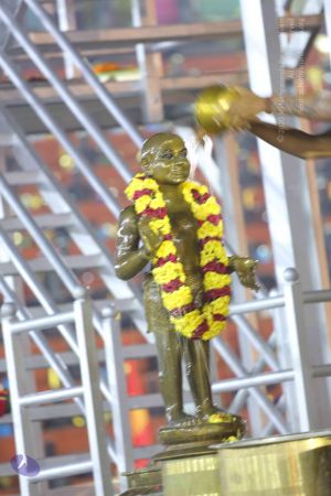 20161206 Photo 1128 1JnVPrxqhzC-DBtAY0tXApH2Zl8SpKuTO.JPG