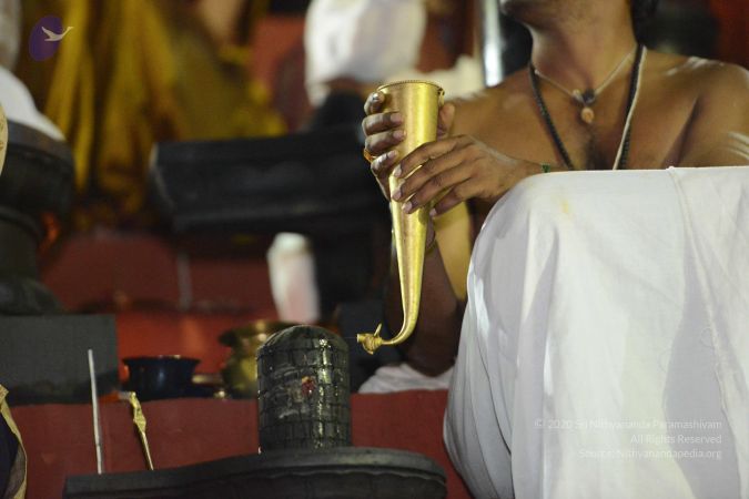 20161206 Photo 1159 1s8xuJ1eQHp6xuRIZ5sGYrfpDKdSjyNlO.JPG